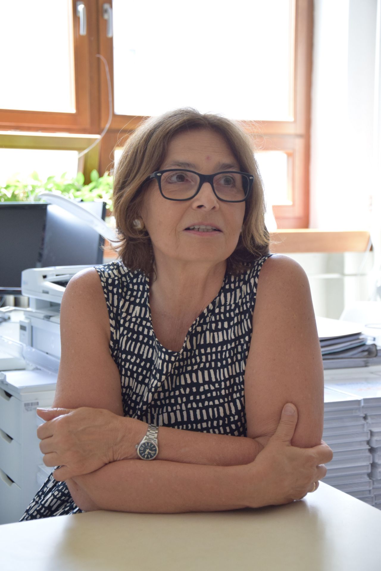 prof lubica vitkova