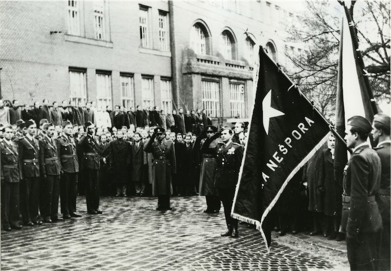 Pripomíname si SNP